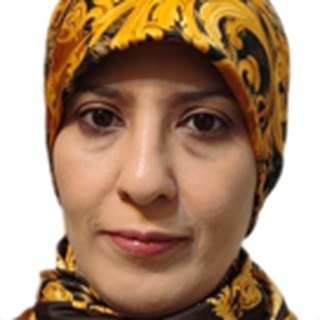 Narjes Zakerimasouleh